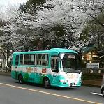 p_080625_01_ちゅうバス探検隊の足跡.jpg